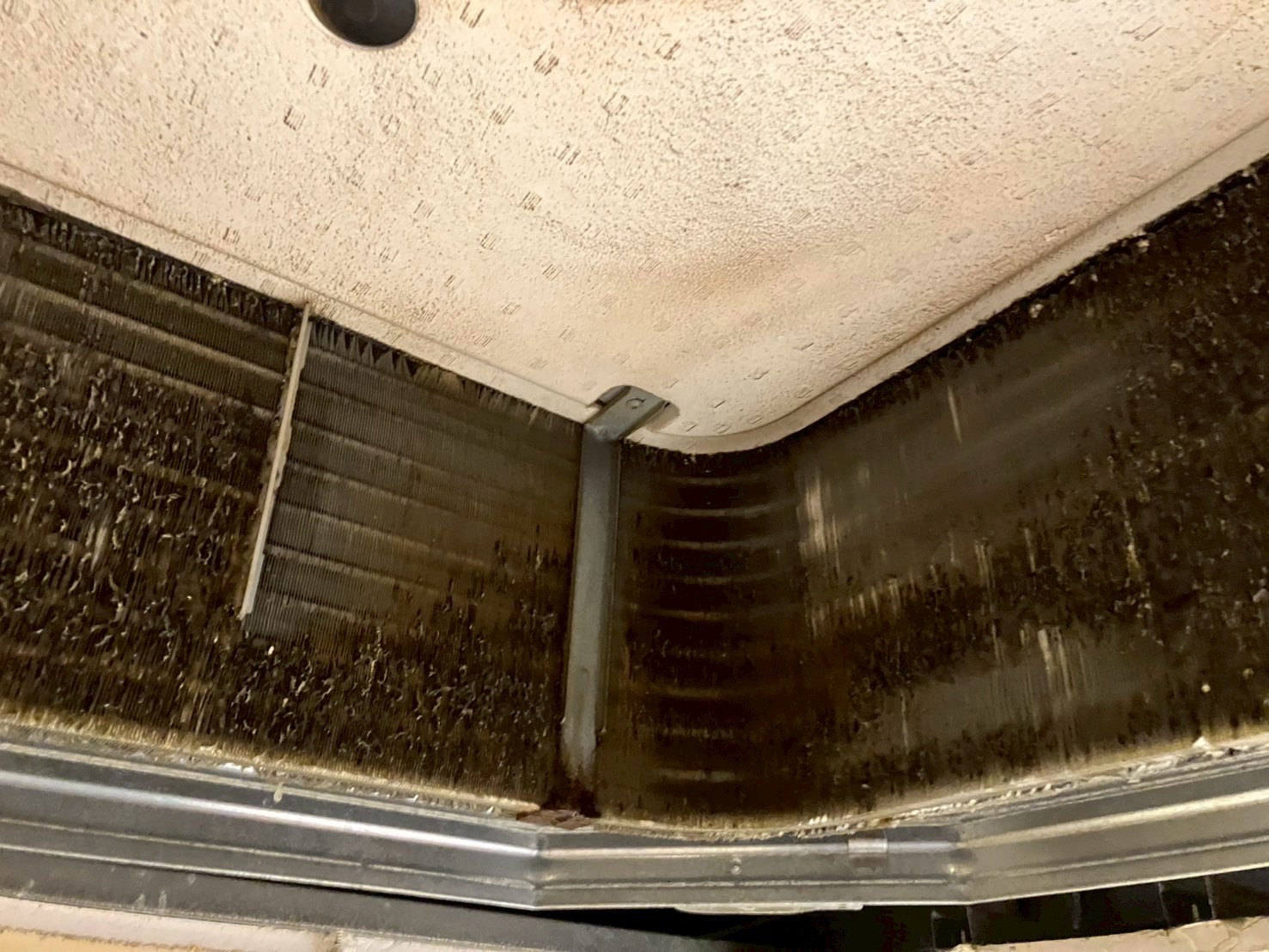 洗浄前の熱交換器。カビとホコリで黒くなっている